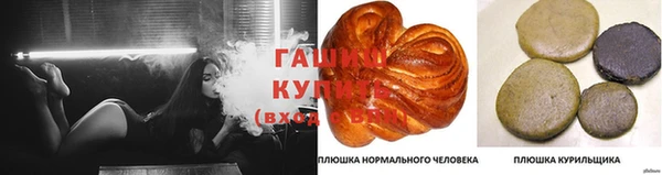 сатива Армянск