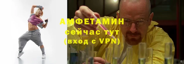 крисы Баксан