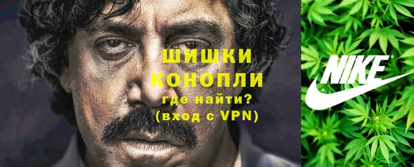 крисы Баксан
