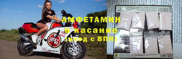 сатива Армянск