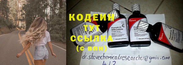 крисы Баксан