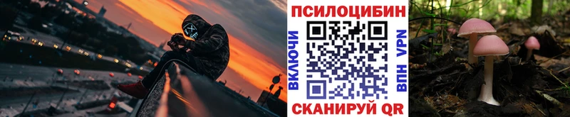 Галлюциногенные грибы MAGIC MUSHROOMS  Лениногорск 