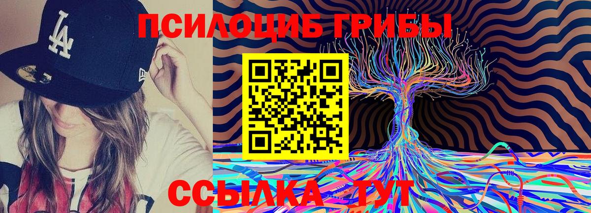 Псилоцибиновые грибы ЛСД  Вход с VPN  Псилоцибиновые грибы Cubensis  наркотики  Лениногорск 
